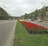 824450 Afbeelding van bloeiende tulpen op de middenstrook van de Vondellaan te Utrecht.